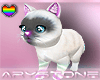 [A] AdoptM neon cat