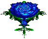 Blue-Rose
