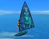 V. Beach Windsurfer 2
