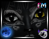 H25 Black Cat 2Tone Eyes