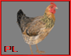 PL Animated ChickenBrown