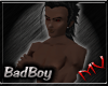 (MV) BadBoy 100 Deg