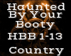 Haunted By Your Booty