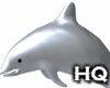 Dolphin / White