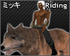 rider big wolf