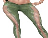 Pistachio laced n tight