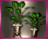 ~S~ Potted Plant