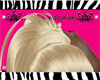 Ponytail Blonde Hair