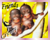 ¤C¤ Friends monkey