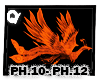 Q| Phoenix- F