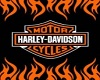 Harley Multi Stage 
