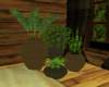 Plant Pots Set 4