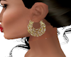 S4E Gold Chains Earrings