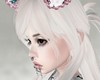 ++suki ghost