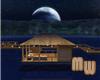 Moonlight Tiki House
