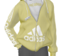 Sports Jacket Yellow