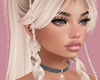 Susannui Plat Req