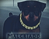 M | Ghetto Rottweiler