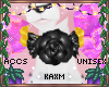 ꨄBlossom Rosesꨄ