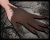 +Ancient Touch- forest