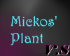 ~V~ Mickos Cafe - Plant