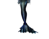 Dark Mermaid Tail 1