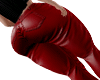 Leather Red Pants N6SP