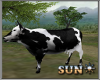 !SR! Farm  cow