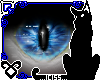 Watcher Blue (unisex)