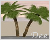 Set of  Palm Trees