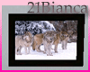 21b- wolv pict