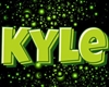 Kyle Light