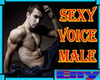 [E] Sexy Male Voice