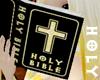 Standard Holy Bible F