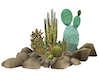 {K} Cactus Garden