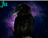 |Juju| Raven on a skull