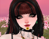 RedBlack hair
