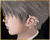 💍Men earring