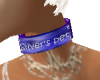 (IK)Silver's Pet collar
