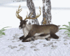 *Winter Tree Reindeer