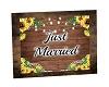 JUST MARRIED SIGN