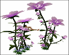 4 can Sit in Flowers