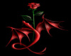 Rose of dragon/backdrop