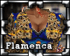 !P Flamenca Alma Gitana