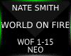 World On Fire