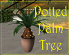 [SS]Potted Palmtree