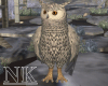 Owl Animated