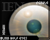 Blind Wolf Eyes (F)