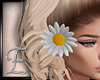 -E- Sunflower