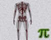 3pi Body Skeleton